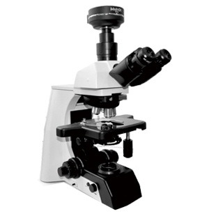 ������΢��